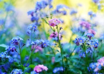 Cómo actuar si no me permiten tomar las vacaciones que me corresponden