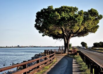 Abogados en Asesor.Legal | Asesoría legal para Cómo recurrir una sanción por error en el grado de parentesco Cómo recurrir una sanción por error en el grado de parentesco