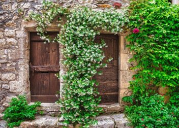 Abogados en Asesor.Legal | Asesoría legal para Pasos urgentes para reclamar un despido improcedente con abogado Pasos urgentes para reclamar un despido improcedente con abogado