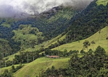 Plazos legales de oposición del demandado en el desahucio express