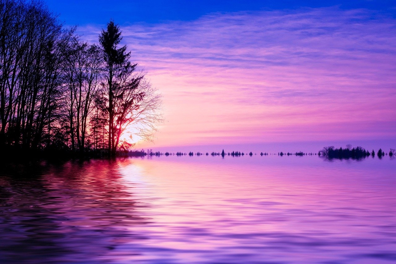 Reclamación de facturas de luz y agua pagadas por el propietario a okupas