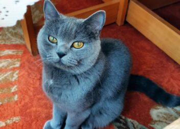 Consejos legales para negociar un ERE con la empresa