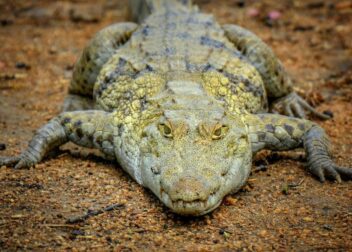 Consejos para actuar si mi empresa no me paga las nóminas