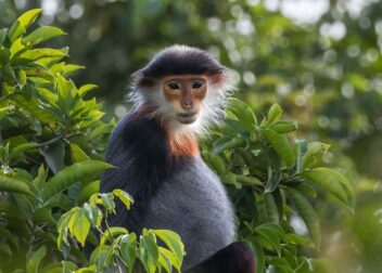 Abogados en Asesor.Legal | Asesoría legal para Abogado para negociar condiciones laborales tras despido improcedente Abogado para negociar condiciones laborales tras despido improcedente