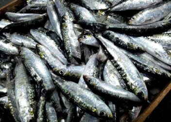 Defensa de interinos en A Coruña ante contratos abusivos