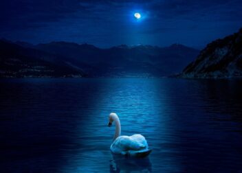 cuánto tiempo se tarda en conseguir la fijeza como interino