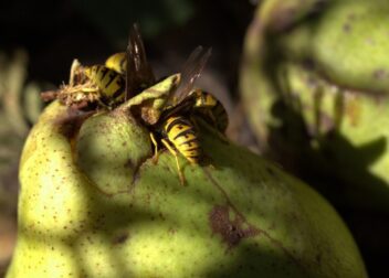 Qué documentos necesitas para iniciar procedimiento contencioso