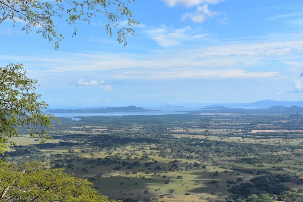 Abogado para interinos que buscan estrategia europea y defensa nacional