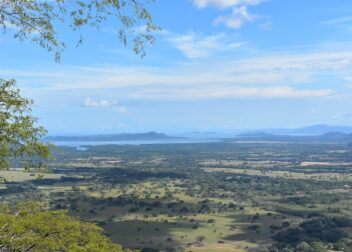 Abogado para interinos que buscan estrategia europea y defensa nacional