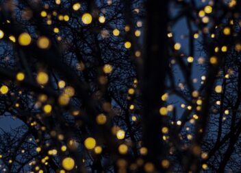 Consejos prácticos para impugnar multas de tráfico exitosamente