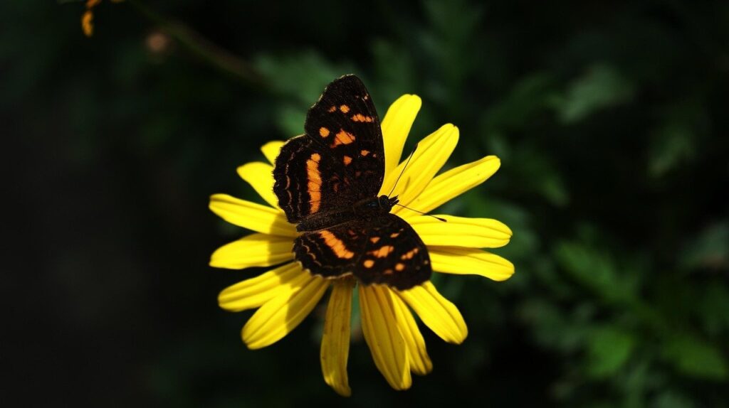 Indemnización por contratos abusivos en el sector público español