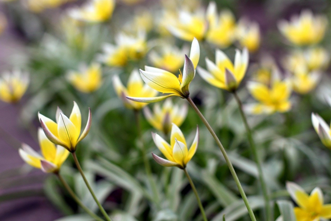 cuánto tarda una demanda de interinos tras el caso Obadal