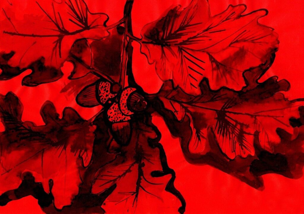 ¿Cómo calcular el sobrecoste de tus neumáticos debido a un cártel?