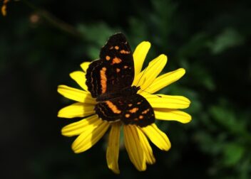 Cómo demostrar abuso de temporalidad en el sector público con pruebas válidas