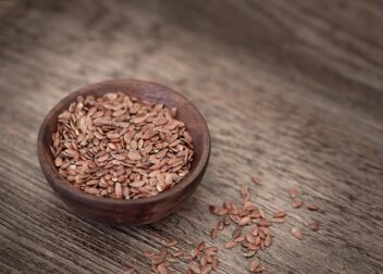 Documentación vital para presentar alegaciones de multas