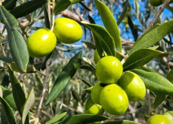 Cómo actuar ante cambios en normativa europea sobre interinos