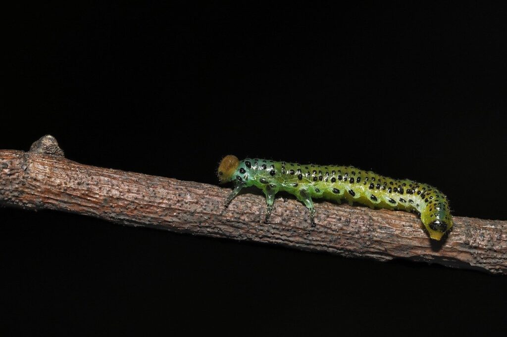 Errores comunes al defenderse de una multa con un abogado