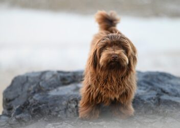 Cómo estimar el valor económico de tu caso de interino