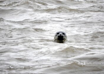 Cómo actuar ante plazos en litigios de larga duración