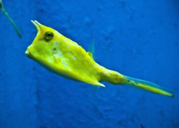 Documentación necesaria para interinos en procesos judiciales largos