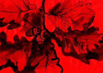 ¿Cómo organizar tus pruebas antes de hablar con un abogado sobre multas?