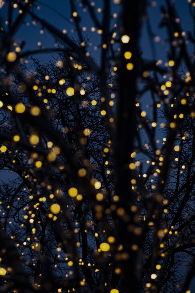 ¿Qué pruebas necesitas para recurrir una multa de tráfico con éxito?