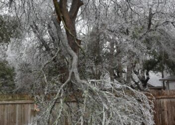 Cómo evitar errores comunes al reclamar daños por neumáticos inflacionados