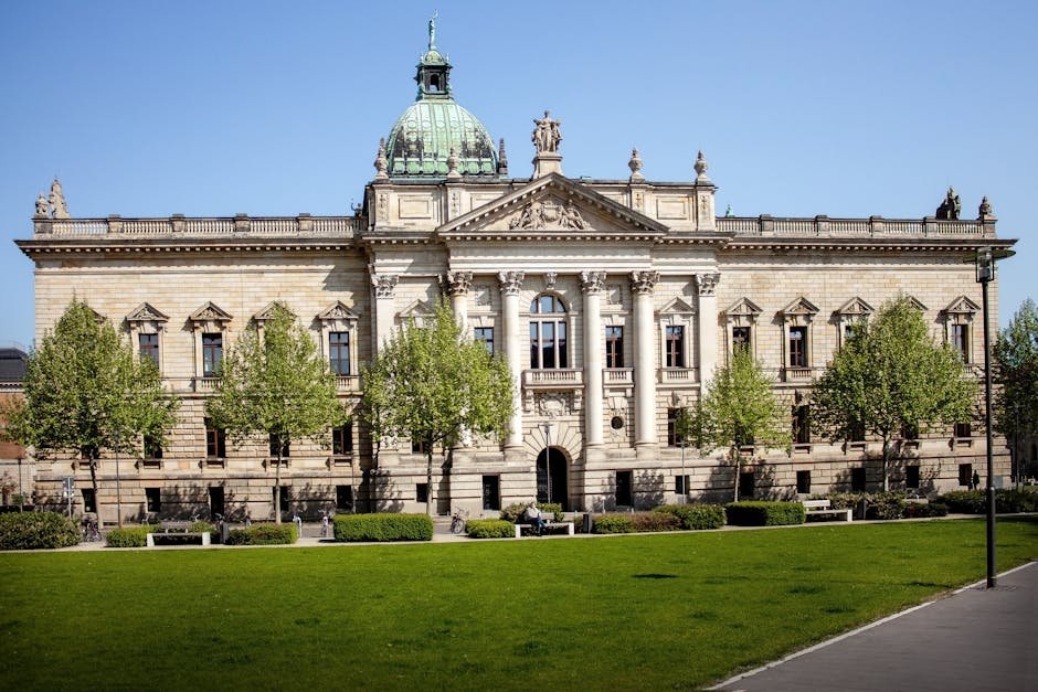 Abogado para interinos: cómo analizar su propuesta de actuación