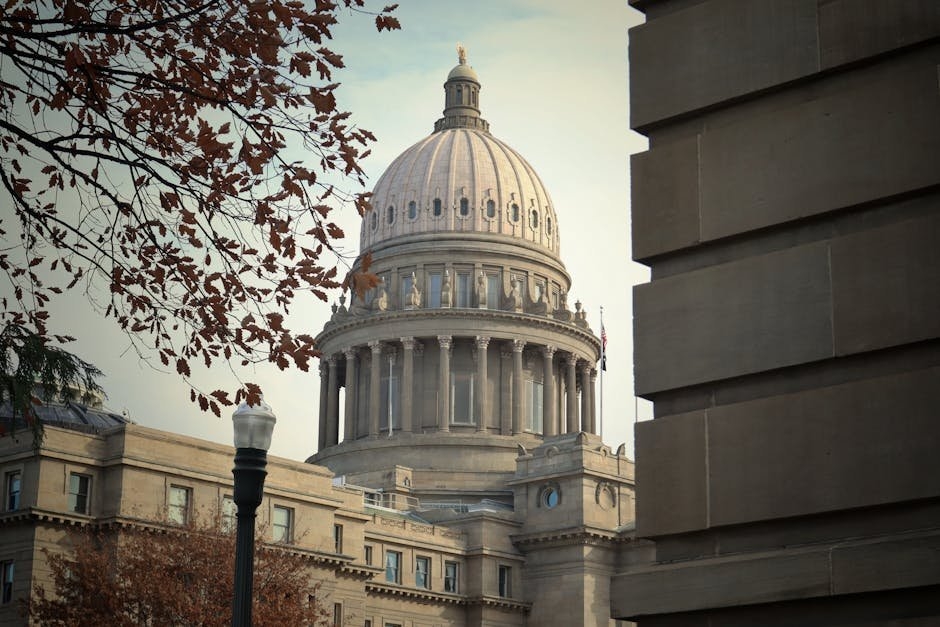 Abogado para interinos: cómo detectar falta de especialización