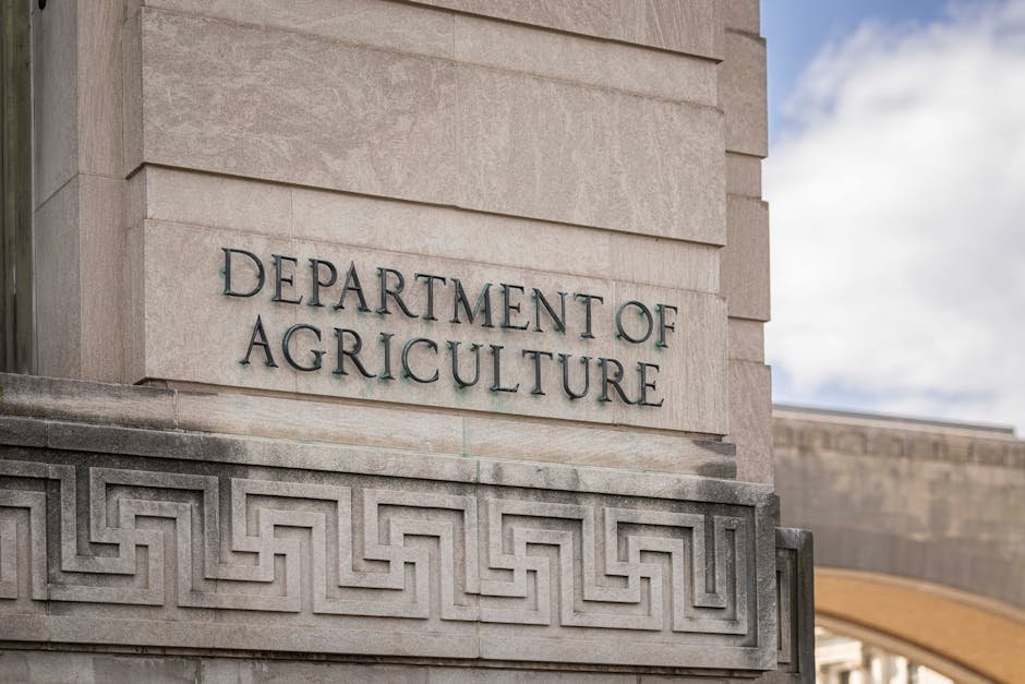 Coste de abogado para interinos en procesos judiciales contenciosos completos