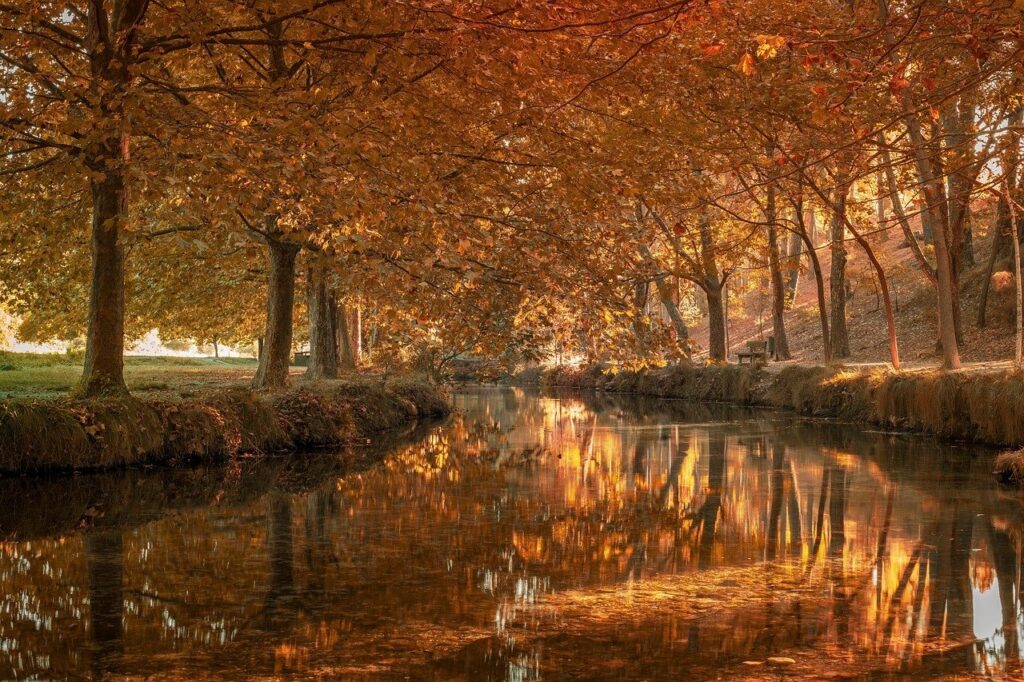 ¿Cuánto puedes recuperar de multas ZBE en Madrid? Análisis de importes