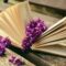 Cómo defenderse ante la negativa del banco a anular un préstamo usurario